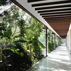 The Lifeco Bodrum Well-being Detox Center And Vegan (adults Only) Hotell Golturkbuku